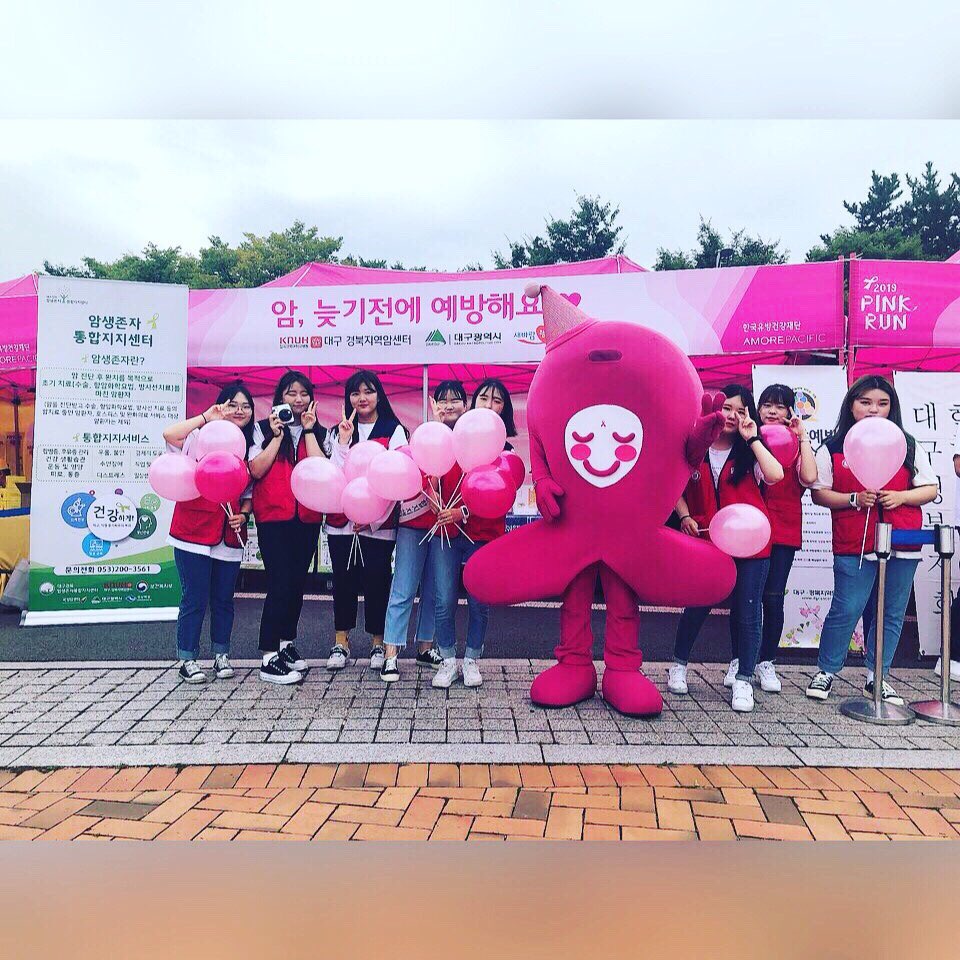 2019 핑크런 대구 캠페인 관련사진